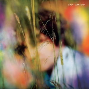 Sam Amidon - Sam Amidon(Ltd.2Lp Rainbow) in the group OTHER / Övrigt /  at Bengans Skivbutik AB (3962237)