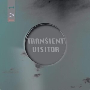 Transient Visitor - Tv1 in the group VINYL / Pop-Rock at Bengans Skivbutik AB (3965462)