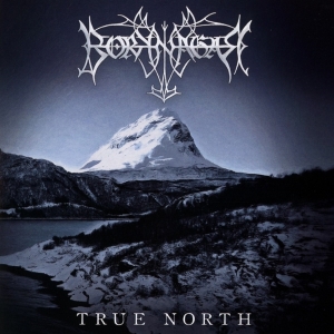 Borknagar - True North in the group CD / Hårdrock at Bengans Skivbutik AB (3968360)