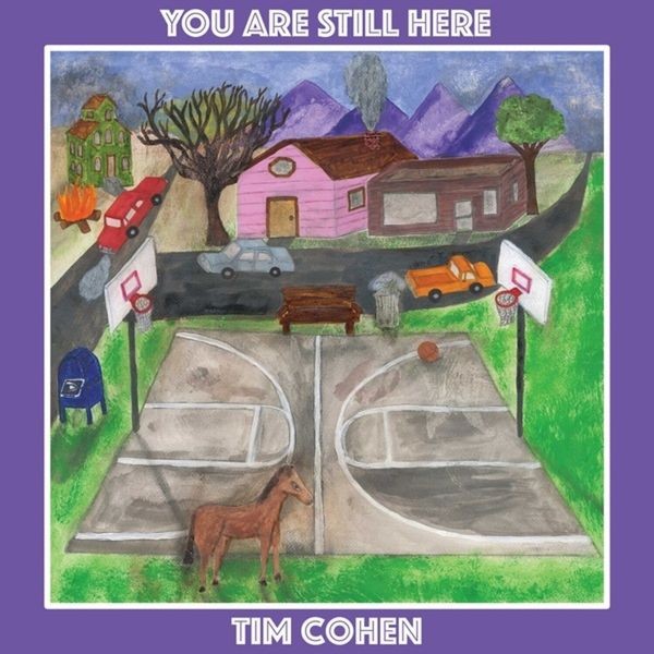 Tim Cohen - You Are Still Here (Vinyl Lp) in the group VINYL / Pop at Bengans Skivbutik AB (3969443)