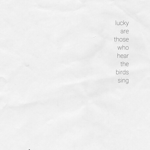 Various Artists - Lucky Are Those Who Hear The Birds in the group VINYL / Dans/Techno at Bengans Skivbutik AB (3969802)