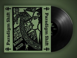 Amon Acid - Paradigm Shift (Vinyl Lp) in the group VINYL / New releases / Hardrock/ Heavy metal at Bengans Skivbutik AB (3970951)