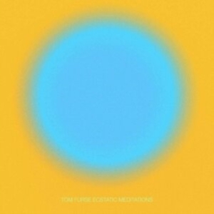 Furse Tom - Ecstatic Meditations in the group VINYL / Pop-Rock at Bengans Skivbutik AB (3971729)