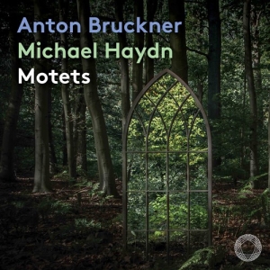Bruckner Anton Haydn Johann Mich - Motets in the group MUSIK / SACD / Klassiskt at Bengans Skivbutik AB (3971893)