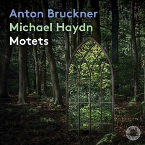 Bruckner Anton Haydn Johann Mich - Motets in the group MUSIK / SACD / Klassiskt at Bengans Skivbutik AB (3971893)