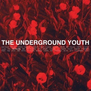 Underground Youth - Falling in the group VINYL / Rock at Bengans Skivbutik AB (3975088)