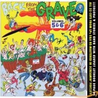 V/A - Back From The Grave Vol 5 & 6 - Vol 5 & 6 - Back From The Grave in the group CD / Pop-Rock at Bengans Skivbutik AB (3975185)