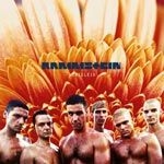 Rammstein - Herzeleid in the group CD / New releases / Rock at Bengans Skivbutik AB (3976755)