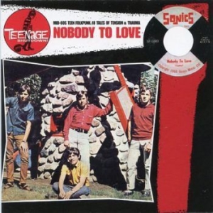 Various Artists - Teenage Shut Down - Nobody To Love in the group VINYL / Pop-Rock at Bengans Skivbutik AB (3977700)