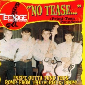 Various Artists - Teenage Shut Down - No Tease in the group CD / Pop-Rock at Bengans Skivbutik AB (3977712)