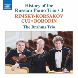 Borodin Alexander Cui Cesar Rim - History Of The Russian Piano Trio, in the group Externt_Lager /  at Bengans Skivbutik AB (3977782)