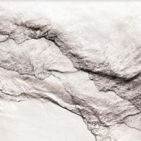 Albanese Federico - Federico Albanese - The Houseboat A in the group VINYL / Jazz,Pop-Rock at Bengans Skivbutik AB (3978462)