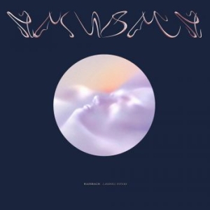 Hainbach - Landfill Totems in the group VINYL / Pop-Rock at Bengans Skivbutik AB (3979570)