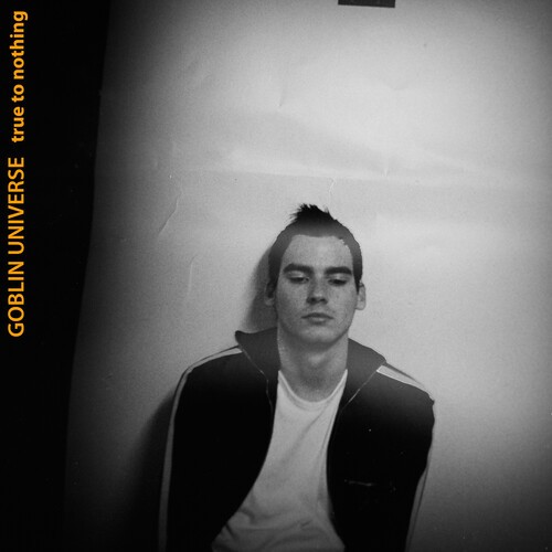 Goblin Universe - True To Nothing in the group CD / Rock at Bengans Skivbutik AB (3979707)