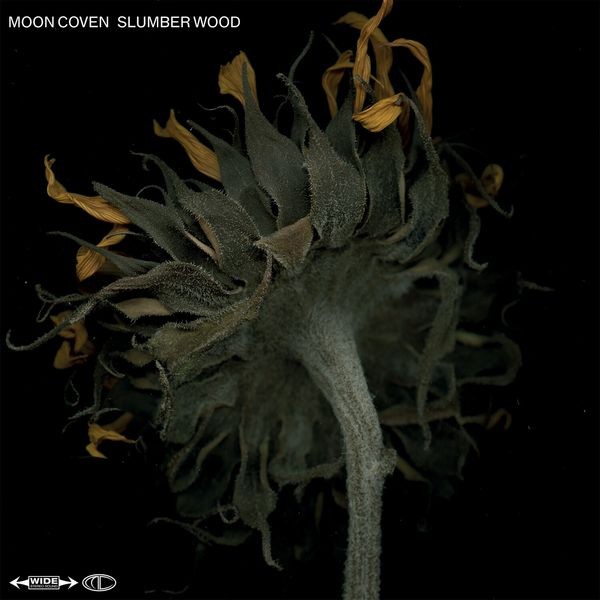 Moon Coven - Slumber Wood in the group CD / Hårdrock/ Heavy metal at Bengans Skivbutik AB (3979864)