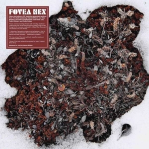 FOVEA HEX - SALT GARDEN - LANDSCAPED (LP+CD) in the group OTHER / Övrigt / at Bengans Skivbutik AB (3981600)