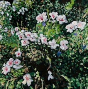 Locke Jess - Don't Ask Yourself Why (Clear Vinyl in the group VINYL / Pop-Rock at Bengans Skivbutik AB (3981644)