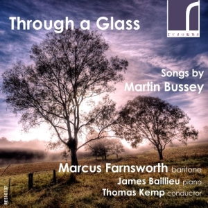 Bussey Martin - Through A Glass: Songs By Martin Bu in the group Externt_Lager /  at Bengans Skivbutik AB (3982560)