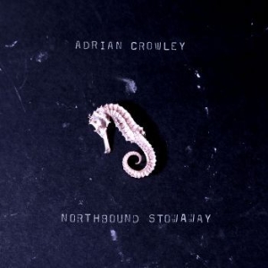 Crowley Adrian - Warching Eye Of The Stars in the group VINYL / Pop-Rock at Bengans Skivbutik AB (3982719)