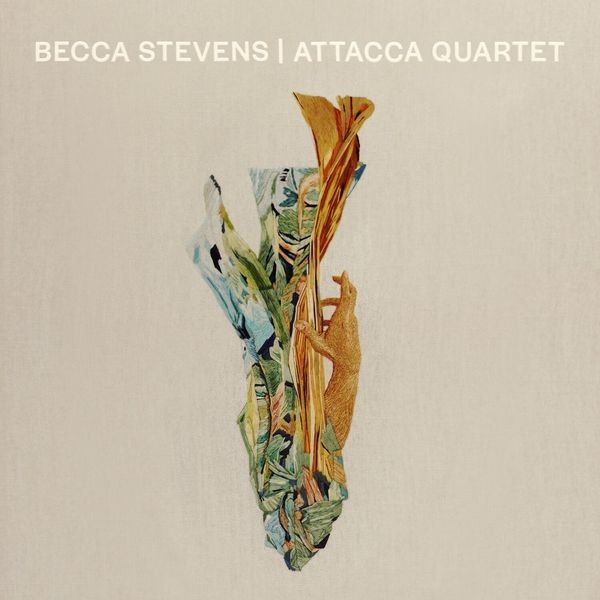 Becca Stevens - Becca Stevens / Attacca Quartet in the group CD / Pop at Bengans Skivbutik AB (3982857)