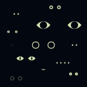 Birgitte Alsted Anders Brodsgaard - Animal Universe in the group Externt_Lager /  at Bengans Skivbutik AB (3983134)