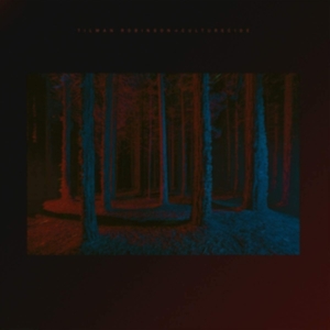 Robinson Tilman - Culturecide in the group OTHER / Övrigt / at Bengans Skivbutik AB (3983352)