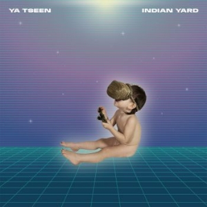 Ya Tseen - Indian Yard in the group VINYL / Rock at Bengans Skivbutik AB (3983422)