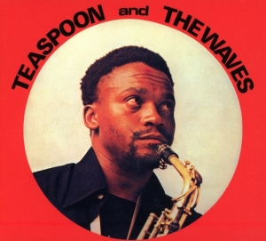 Teaspoon & The Waves - Teaspoon & The Waves in the group CD / Elektroniskt,World Music at Bengans Skivbutik AB (3984648)