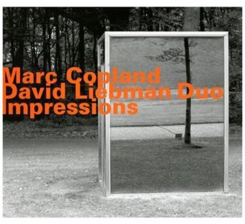 David Liebman-Marc Copland Duo - Impressions in the group CD / Jazz/Blues at Bengans Skivbutik AB (3987068)