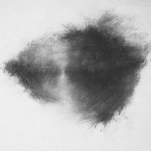 Mirah - Advisory Committee (Blood Red Vinyl in the group VINYL / Pop-Rock at Bengans Skivbutik AB (3987455)