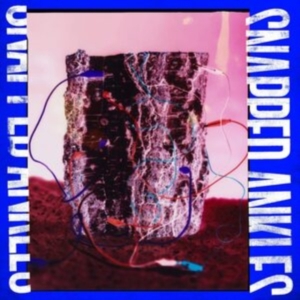 Snapped Ankles - Forest Of Your Problems (The Busine in the group OTHER / Övrigt / at Bengans Skivbutik AB (3987468)