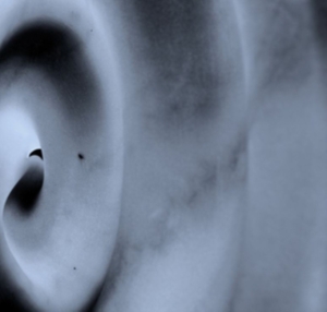 Dvoxx - Telegraphe in the group CD / Pop-Rock at Bengans Skivbutik AB (3987552)