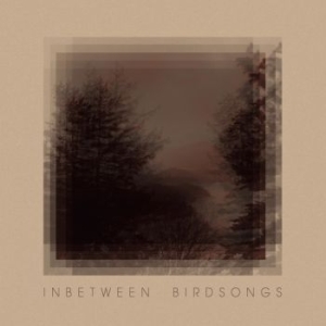 Gusset Matthias - Inbetween Birdsongs in the group CD / Upcoming releases / Worldmusic at Bengans Skivbutik AB (3988729)