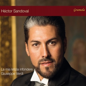 Giuseppe Verdi - Opera Arias in the group CD / Upcoming releases / Classical at Bengans Skivbutik AB (3988785)