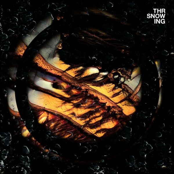 Throwing Snow - Dragons (Marbled Orange Vinyl) in the group VINYL / Rock at Bengans Skivbutik AB (3989239)