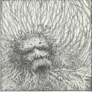 Nemorous - Nemorous (Vinyl Lp + Cd) in the group VINYL / Hårdrock at Bengans Skivbutik AB (3989955)