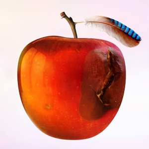 International Music - Ententraum in the group VINYL / Pop-Rock at Bengans Skivbutik AB (3990445)