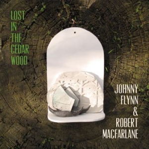 Johnny Flynn - Lost In The Cedar Wood in the group  /  at Bengans Skivbutik AB (3992485)