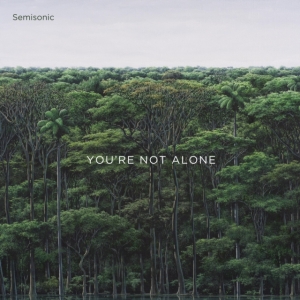 Semisonic - You're Not Alone in the group VINYL / Pop-Rock at Bengans Skivbutik AB (3992885)