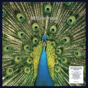 Bluetones - Expecting To Fly - 25Th Anniversary in the group VINYL / Rock at Bengans Skivbutik AB (3993744)