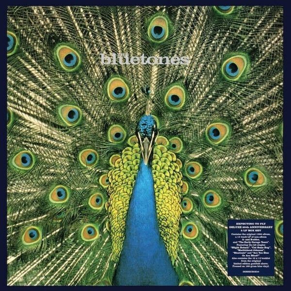 The Bluetones - Expecting To Fly - 25Th Anniversary in the group VINYL / Rock at Bengans Skivbutik AB (3993746)