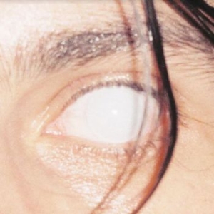 Armlock - Trust in the group CD / Pop-Rock at Bengans Skivbutik AB (3994377)