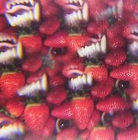 Oh Sees - Floating Coffin in the group VINYL / Pop-Rock at Bengans Skivbutik AB (3996457)
