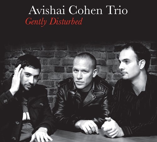 Avishai Cohen Trio - Gently Disturbed in the group CD / Bestsellers at Bengans Skivbutik AB (4000034)