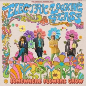 Electric Looking Glass - Somewhere Flowers Grow in the group VINYL / Pop-Rock at Bengans Skivbutik AB (4000865)