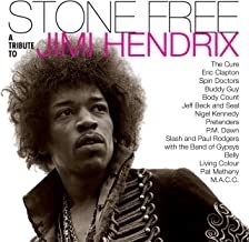 Various artists - Stone free-Tribute to Jimi Hendrix (clea in the group VINYL / Pop-Rock at Bengans Skivbutik AB (4004878)