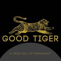 Good Tiger - A Head Full Of Moonlight in the group CD / Hårdrock,Pop-Rock at Bengans Skivbutik AB (4005731)