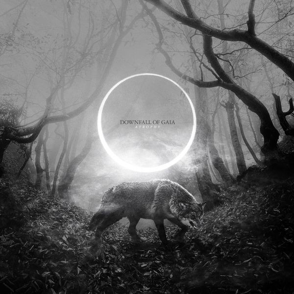 Downfall Of Gaia - Atrophy in the group CD / Hårdrock/ Heavy metal at Bengans Skivbutik AB (4006453)