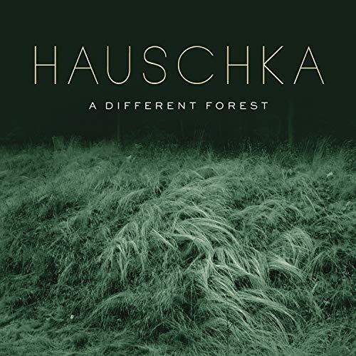 Hauschka - A Different Forest in the group CD / Pop at Bengans Skivbutik AB (4007058)