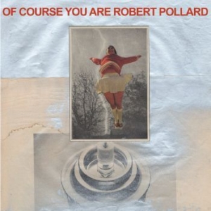 Pollard Robert - Of Course You Are in the group VINYL / Rock at Bengans Skivbutik AB (4007546)